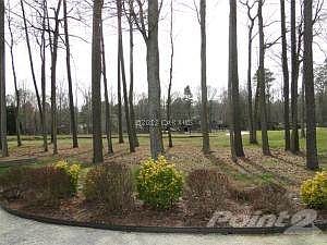 a golf view