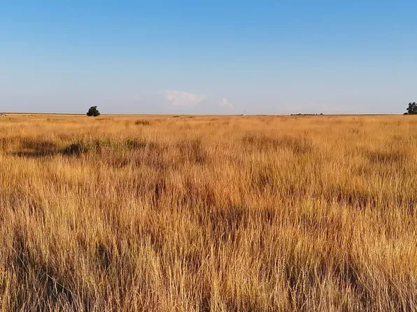 County Road 16, Deerfield, KS 67838