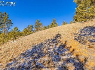 772 E Bison Creek Trl, Florissant, CO 80816