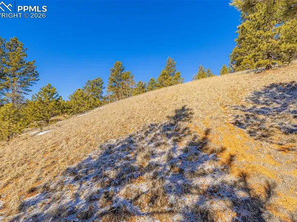 772 E Bison Creek Trl, Florissant, CO 80816