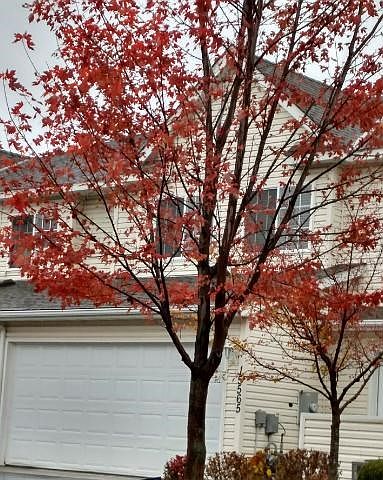 Front of home on quiet street with no outlet. Patio for summer dinner and grilling! Near park land, trails.