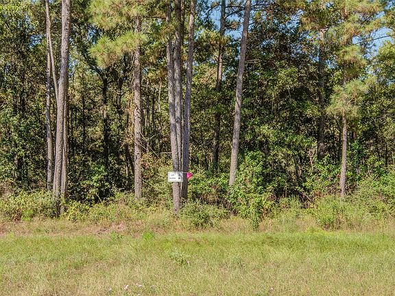 5th image of 185 Rim Rock Rd