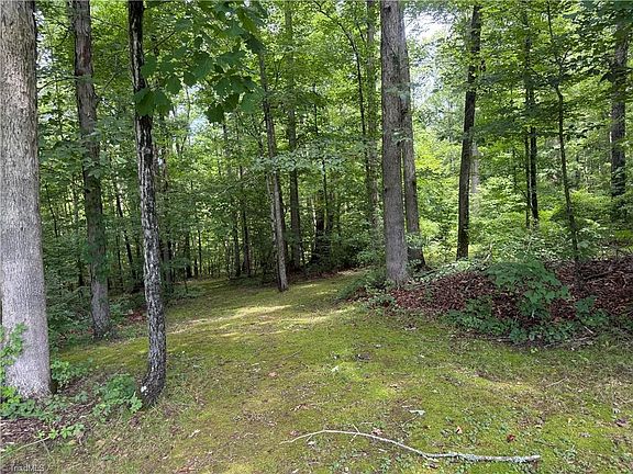 4th image of 0 Deerwood Ln