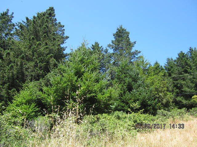 2nd image of 76 Spur Ct