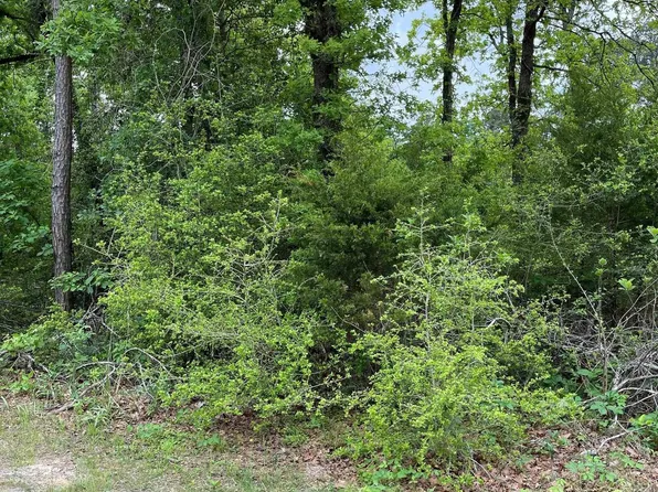 Starleaf Ln, Hawkins, TX 75765