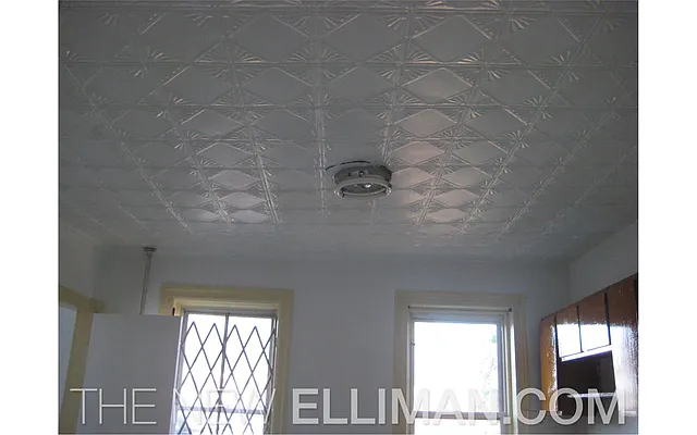 Rented by Douglas Elliman | media 28