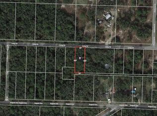 34002 Long Cir, Webster, FL 33597