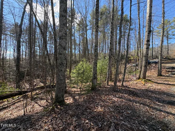 LOT 30 Gene Dr, Butler, TN 37640