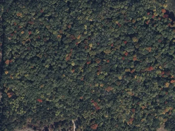 6578 W Stanton Rd, Stanton, MI 48888