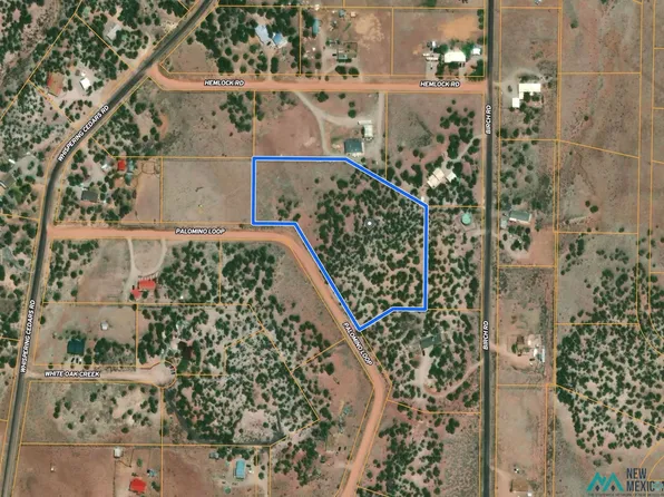 Palomino Loop, Jamestown, NM 87347