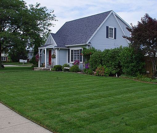Summer- side View of House