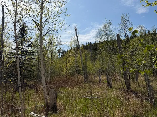 Lot 5 Birch Cliff Dr, Tofte, MN 55615