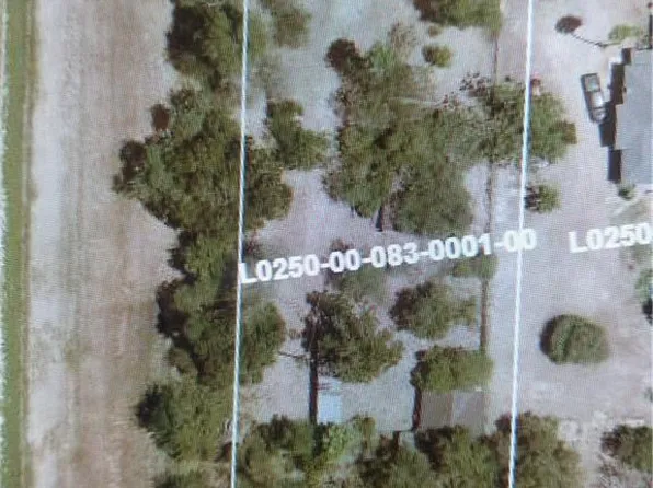 1505 E Miller Ave, Donna, TX 78537