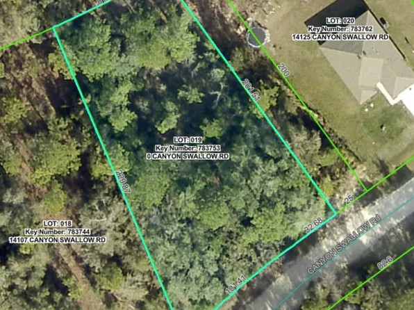LOT 19 Canyon Swallow Rd, Brooksville, FL 34614