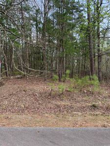 1 Fenix Cir, Hot Springs Village, AR, 71909