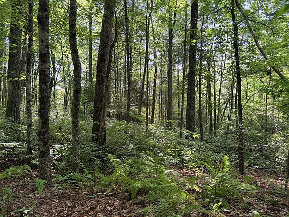 2nd image of 6 Gem Creek Rd
