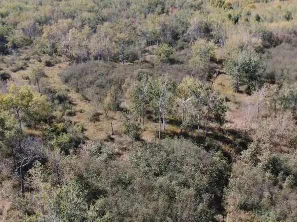 0 S Ploegstra Rd, Rudyard, MI 49780