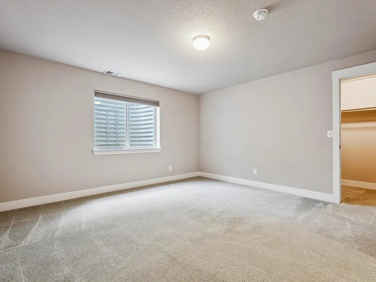 Third bedroom in basement with large walk-in closet