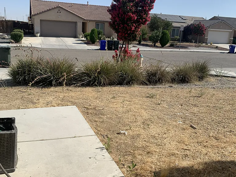 13973 Snowbird Ln — Photo 49