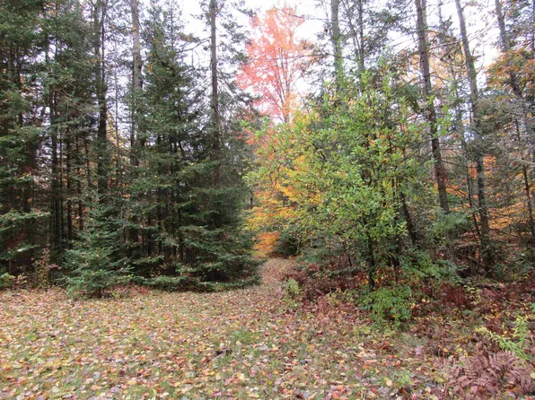 0 W Lake Cir, Barton City, MI 48705