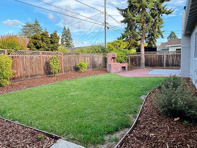 Backyard lawn