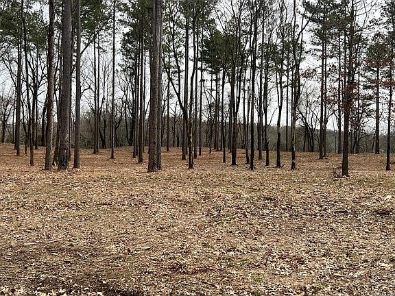 4th image of 10 River Creek Ests