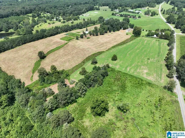 70 Nobinger Rd #0, Falkville, AL 35622