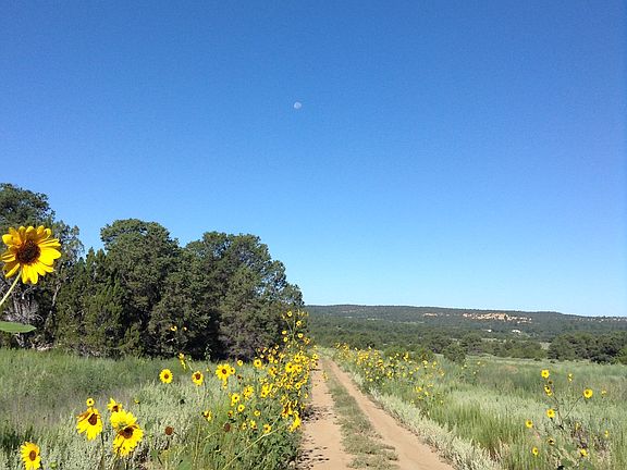 easy living road midsummer
