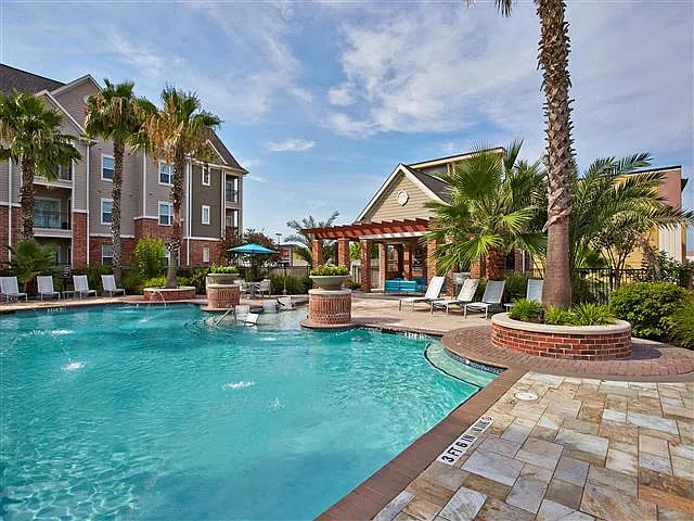 Pool surrounded by palm trees