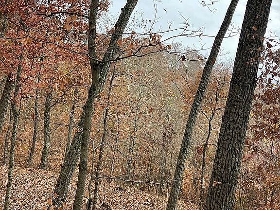 4th image of 0 S Of Blue River Rd