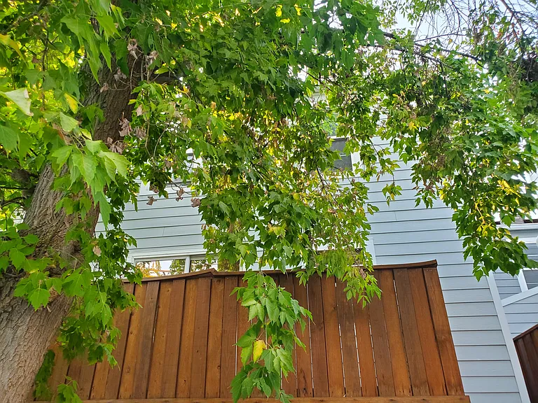 1111 Maxwell Ave #221 — Photo 31