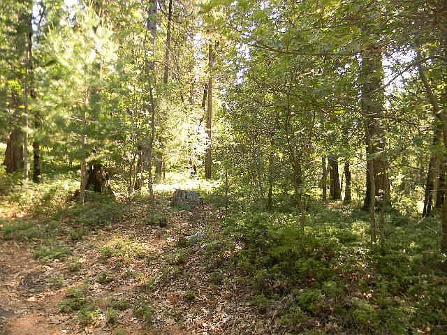 1st image of Por Se1 4 Sec 3 Centercamp