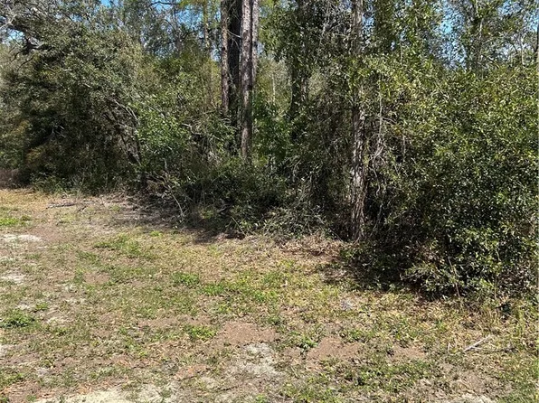 2101 W Most Ln, Citrus Springs, FL 34434