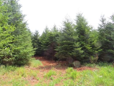 Mill Creek Rd #B, Longview, WA, 98632