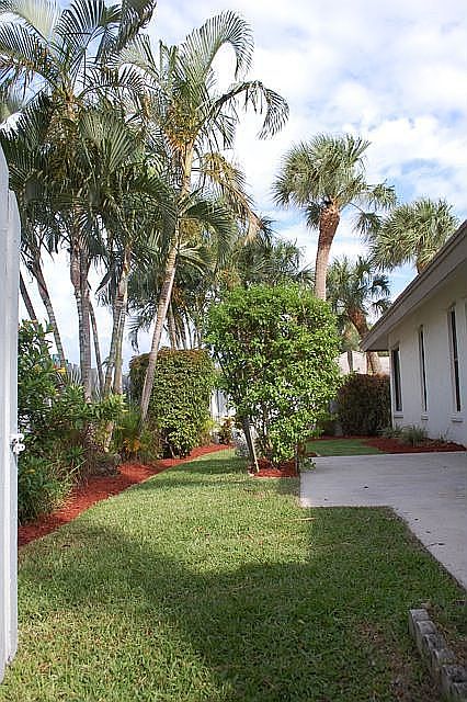Great wrap around backyard