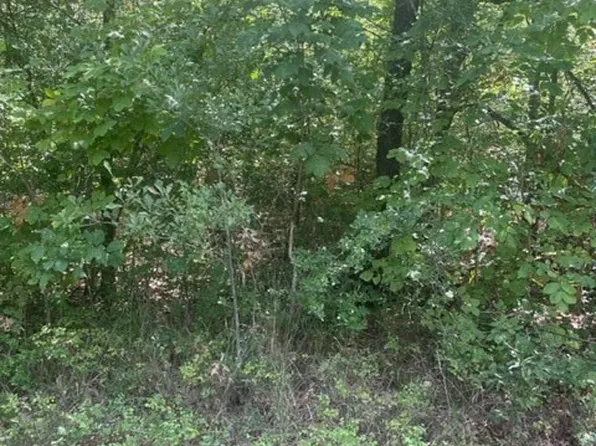 Morning Dove Rd, Trinidad, TX 75163