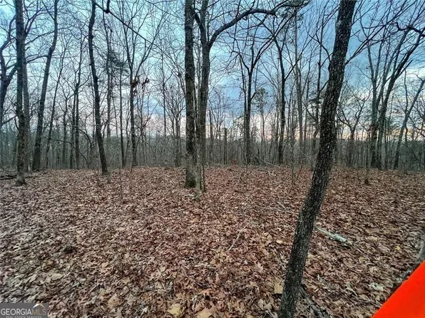 0ZZ Kelly Bridge Rd, Dawsonville, GA 30534