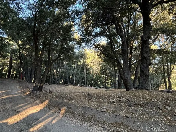 722 Mojave River Rd #8, Cedarpines Park, CA 92322