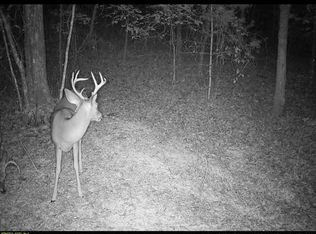 Pinnacle Church Rd, Nebo, NC 28761