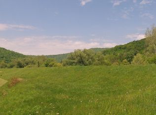 Old Mill Rd, East Branch, NY