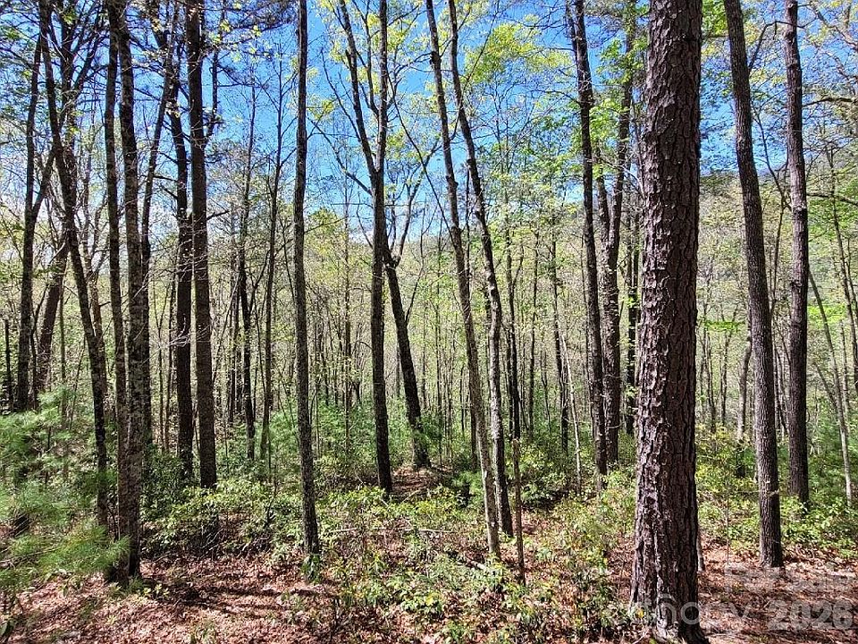 1st image of LOT 21 Little Fox Run
