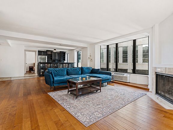 5th image of 40 E Delaware Pl APT 1502