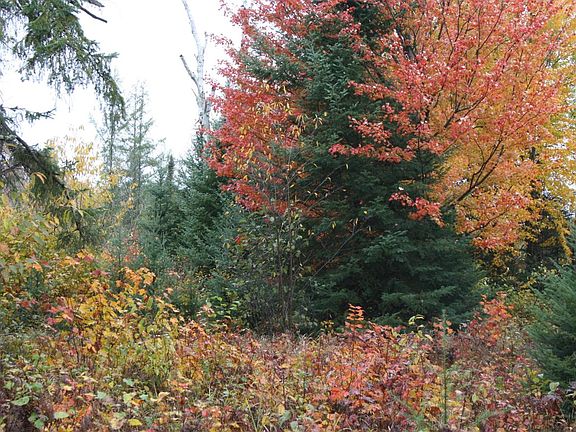3rd image of 17 Acreage Hwy