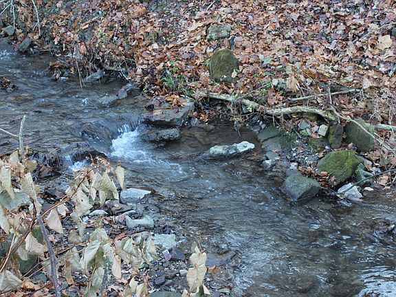Lovely creek!
