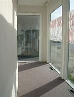 DISPLAY WINDOWS