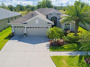 3445 Diamond Falls Cir, Land O Lakes, FL 34638