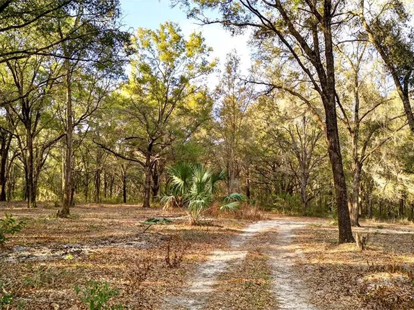 SE 180th St, Weirsdale, FL 32195