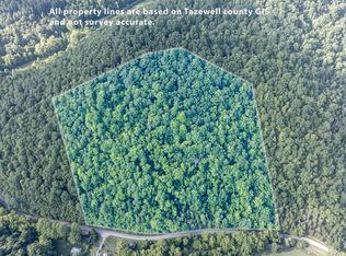 Dry Fork Rd, Cedar Bluff, VA 24609