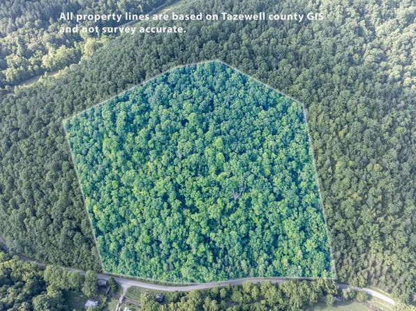 Dry Fork Rd, Cedar Bluff, VA 24609