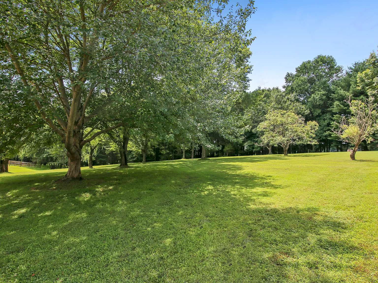 1 bed, 750 sqft, $1,900 — Photo 4